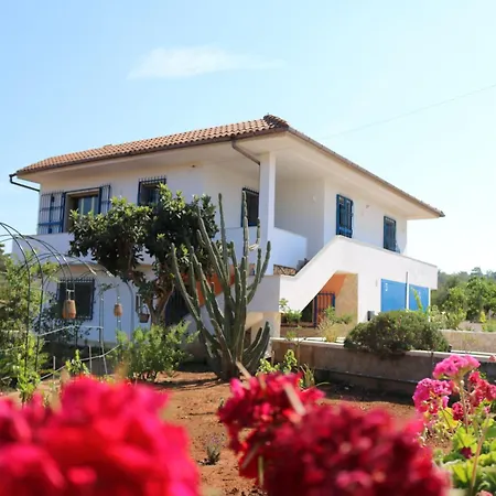 Casa Allegria 3*