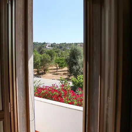 Casa Allegria 3* Parabita