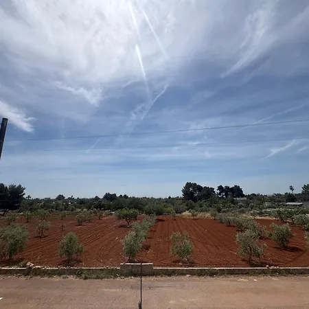 Casa Allegria 3*
