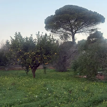Casa Allegria Parabita